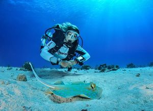 Curso PADI Instructor