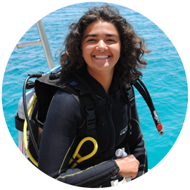 Curso PADI Open Water 