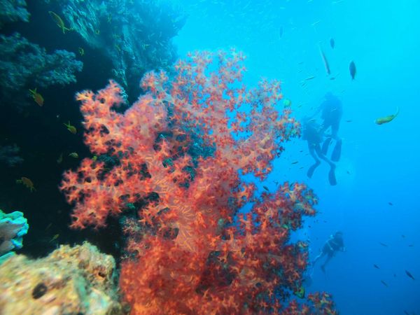 Cinco lugares que debe visitar cuando viaje a Hurghada - Egipto